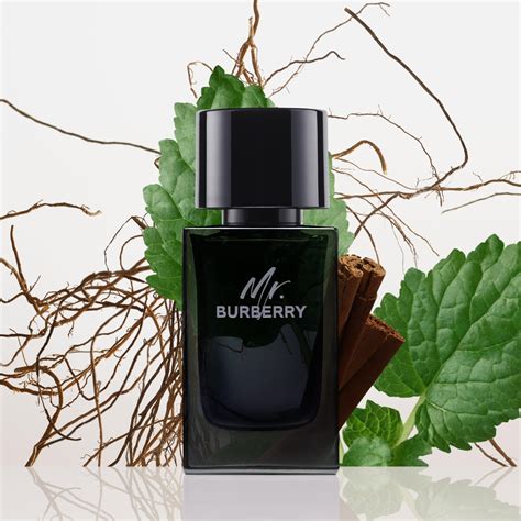 mr burberry eau de parfum douglas|Burberry eau de parfum review.